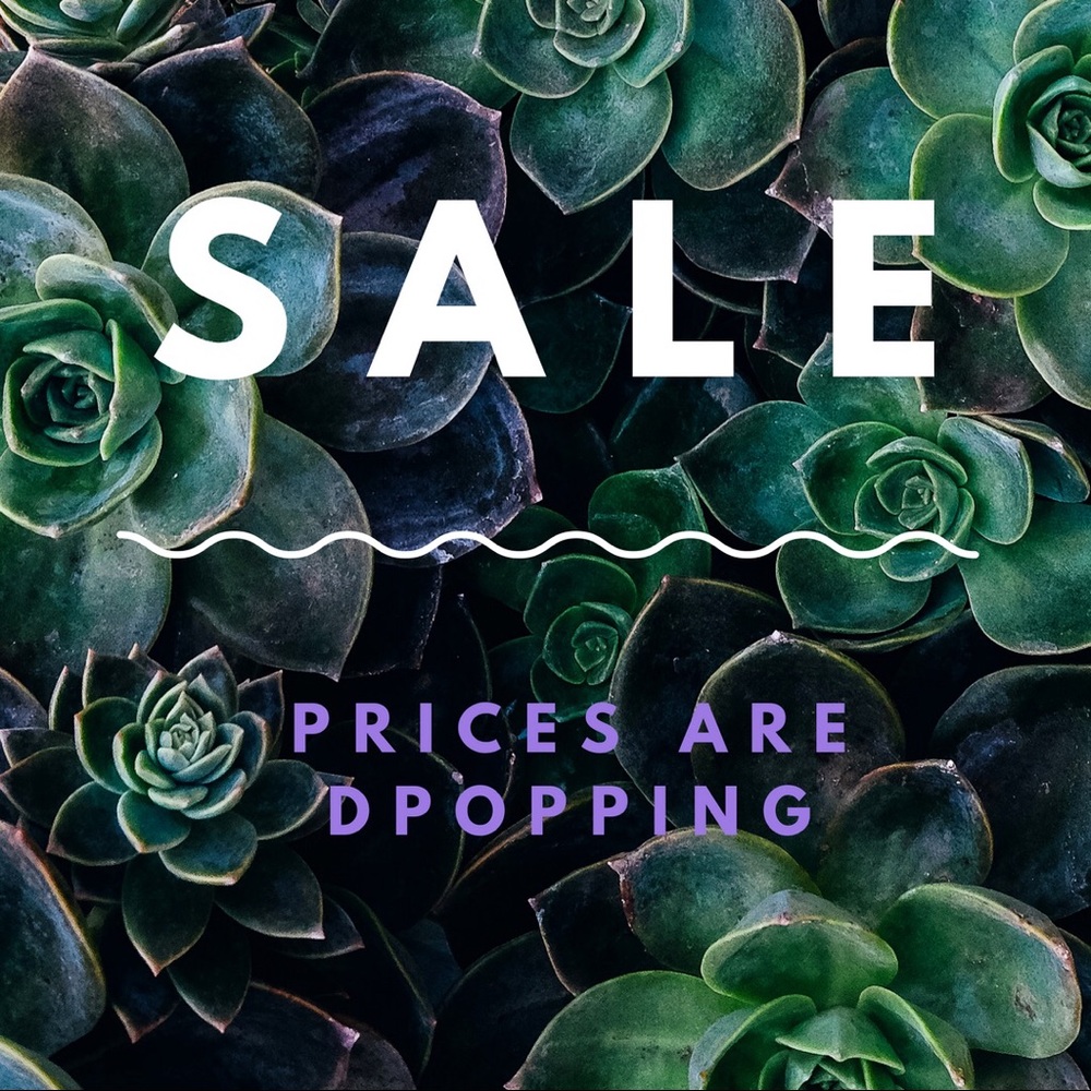 Price drop
